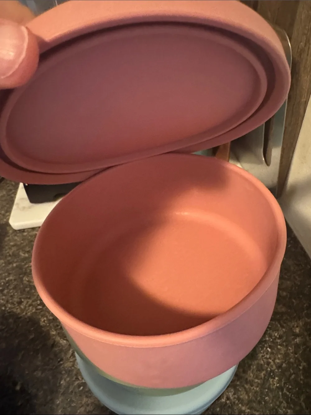 Stackable Pastel Silicone Food Storage Bowls - Set of 3